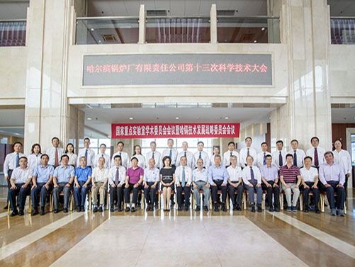 公司战略发展委员会